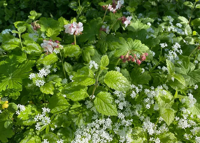 Heverhus Dom wakacyjny